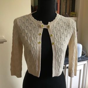 Anthropology (Guinevere) Knit Sweater